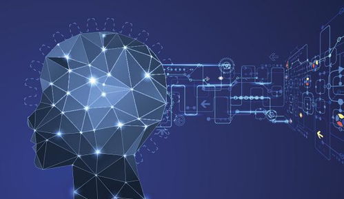 頂尖高校與北京網絡技術服務 共筑a學科發展新篇章